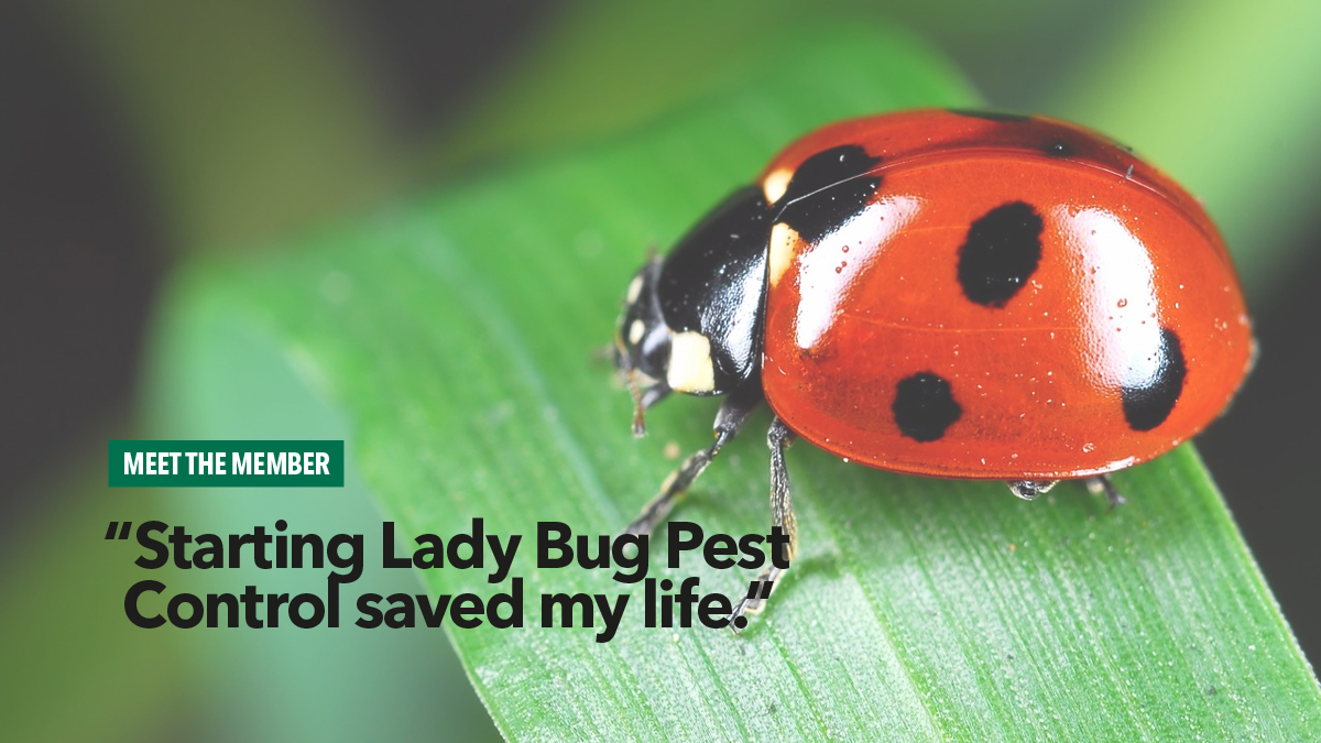 Ladybug Pest Control